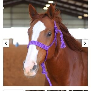 Tacktical Equine Mule Tape Horse Halter